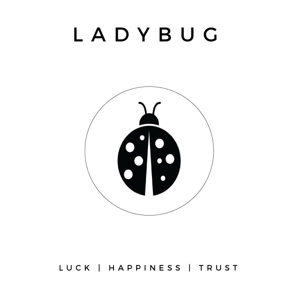 LADYBUG - NOGU.studio